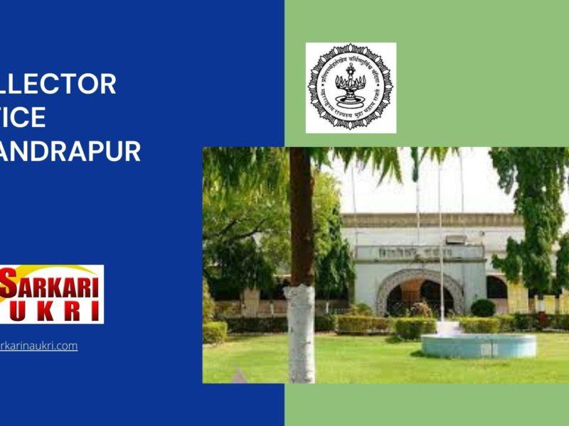Collector Office Chandrapur Recruitment