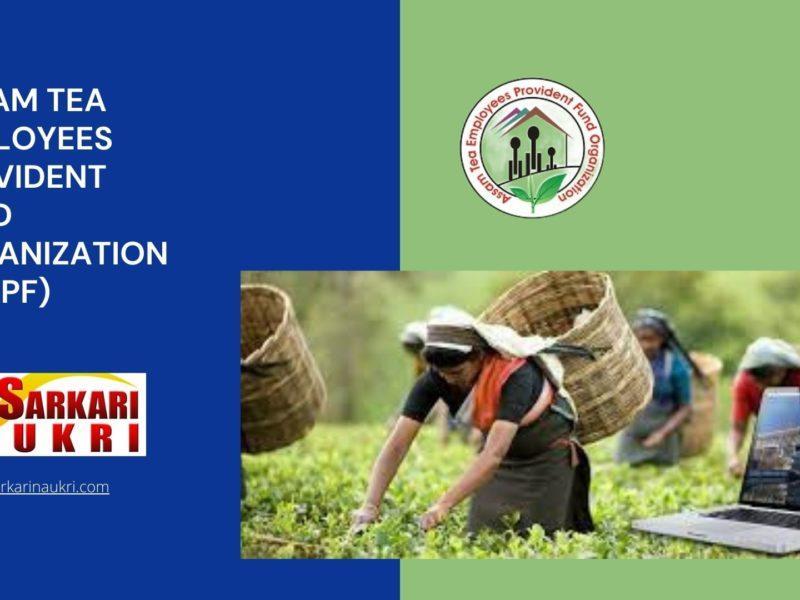 Assam Tea Employees Provident Fund Organization (ATPPF) Recruitment