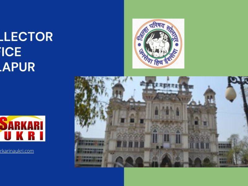 Collector Office Solapur Recruitment