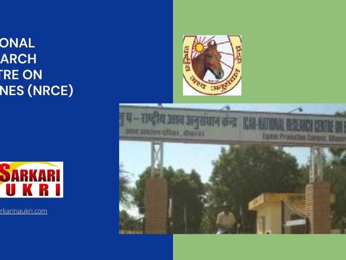 National Research Centre on Equines (NRCE) Recruitment