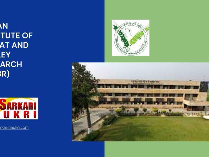 Indian Institute of Wheat and Barley Research (IIWBR) Recruitment