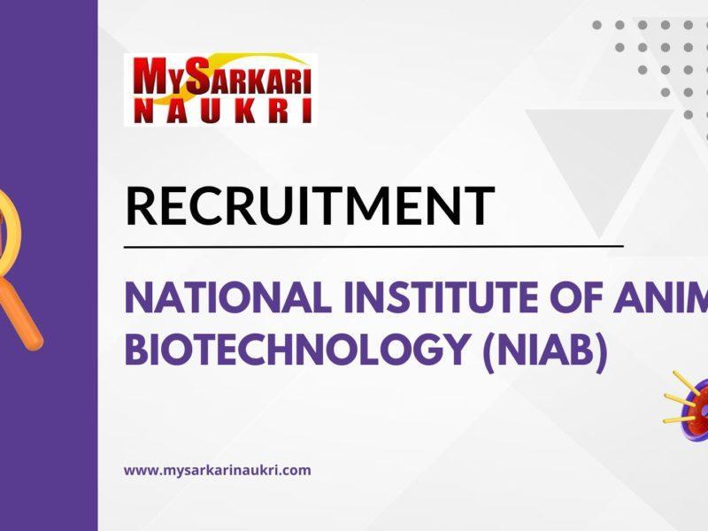 National Institute of Animal Biotechnology (NIAB) Recruitment