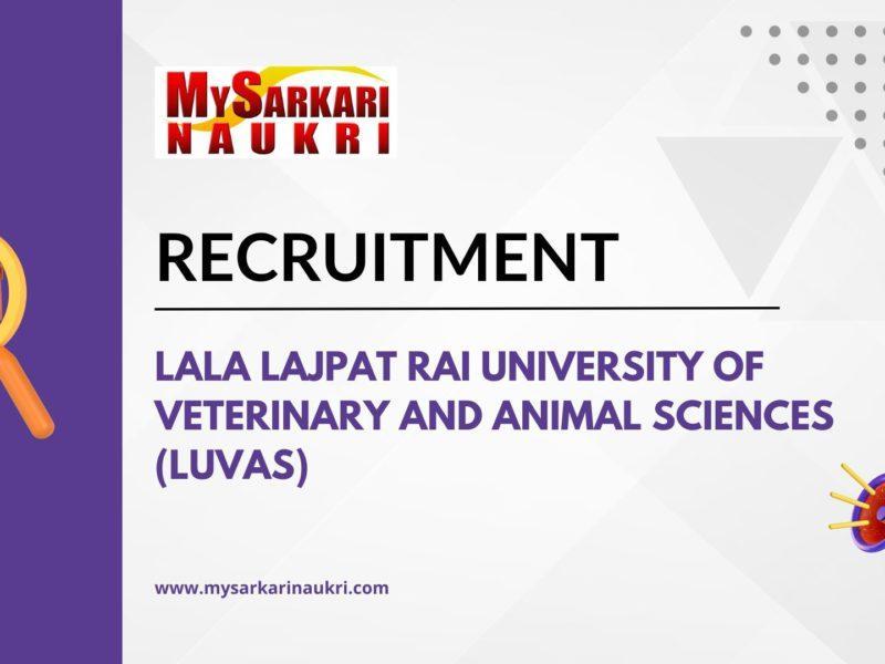 Lala Lajpat Rai University of Veterinary and Animal Sciences (LUVAS) Recruitment