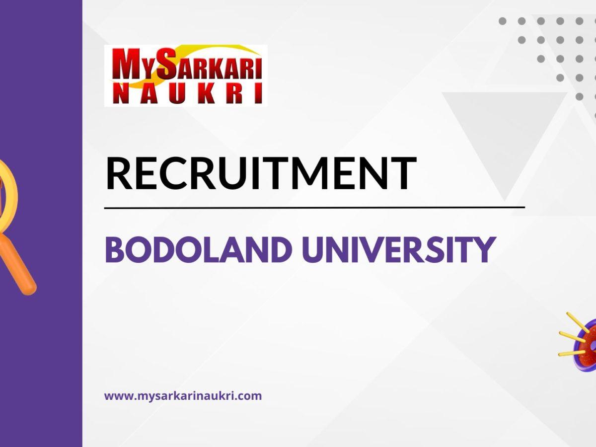 Bodoland University