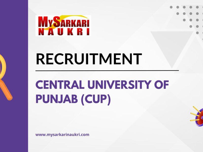 Central University of Punjab (CUP)