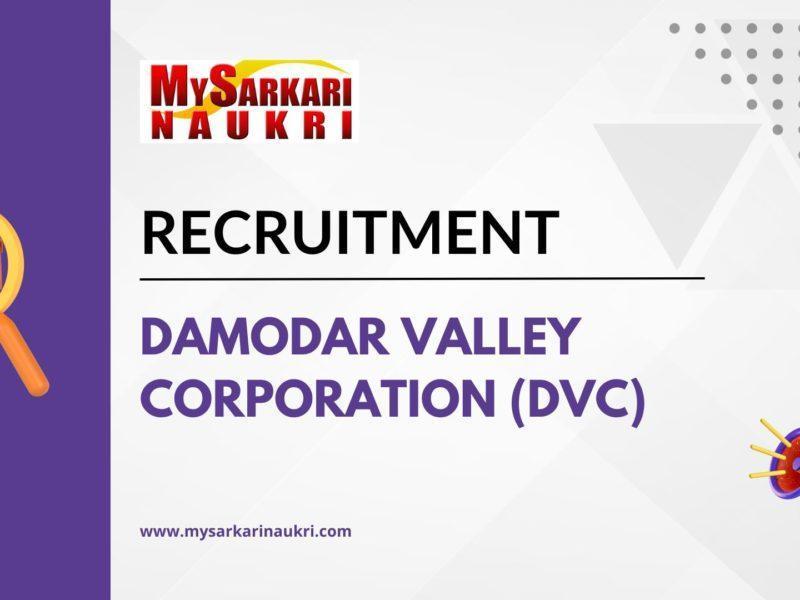 Damodar Valley Corporation (DVC)