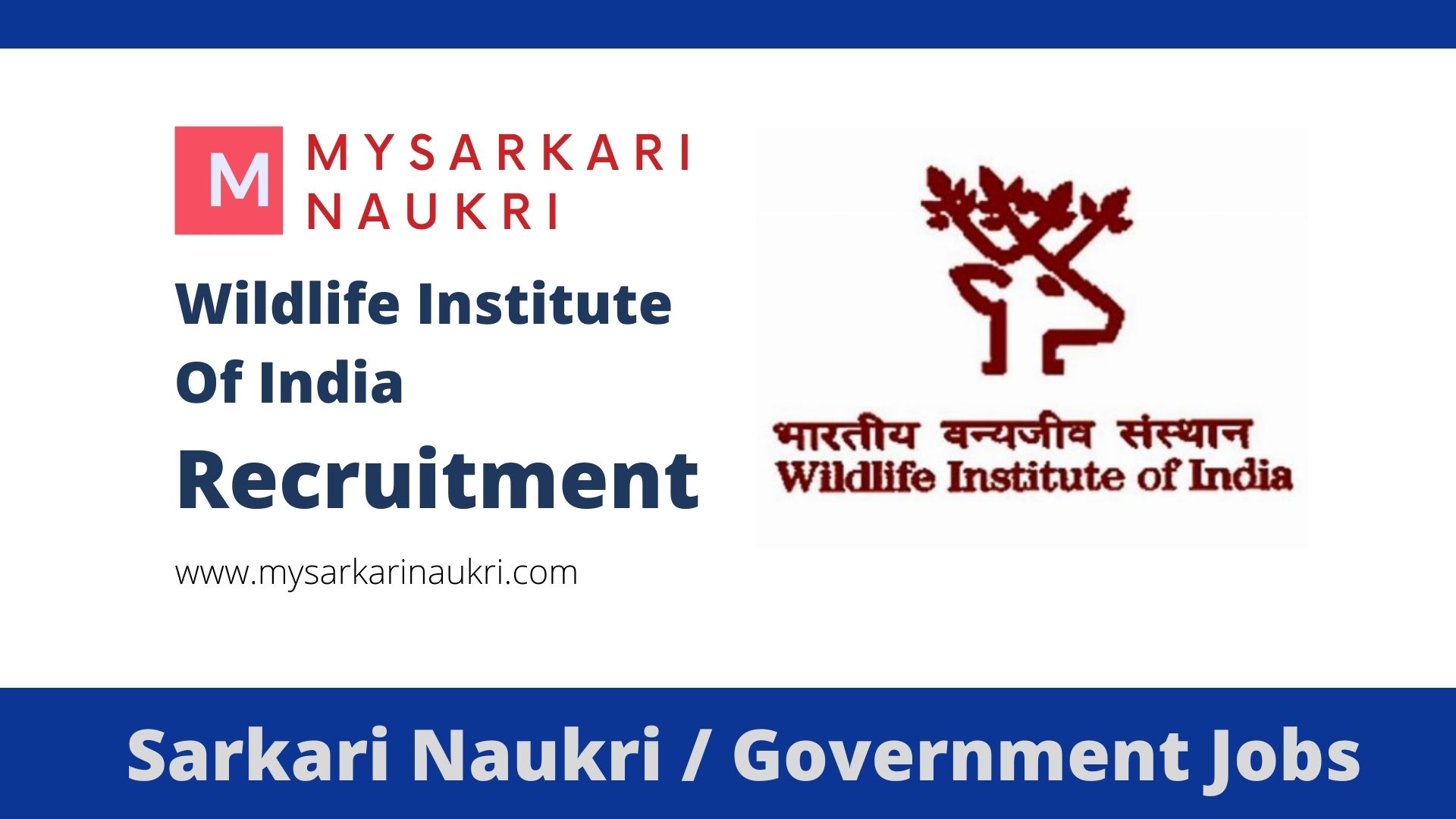 wildlife institute of india phd admission 2023