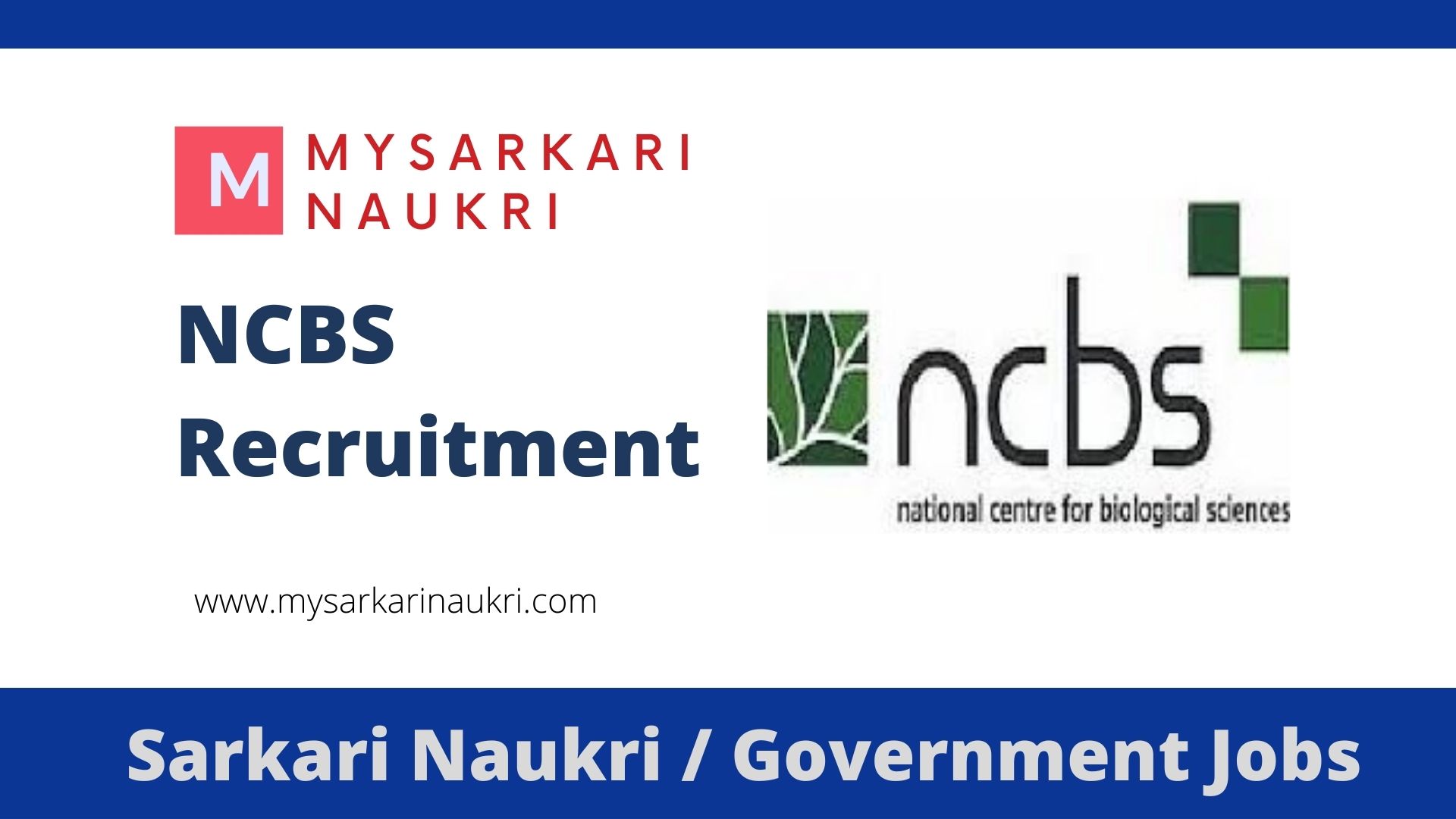 NCBS Recruitment 2024 For 10 Administrative Assistant Clerk   2620 