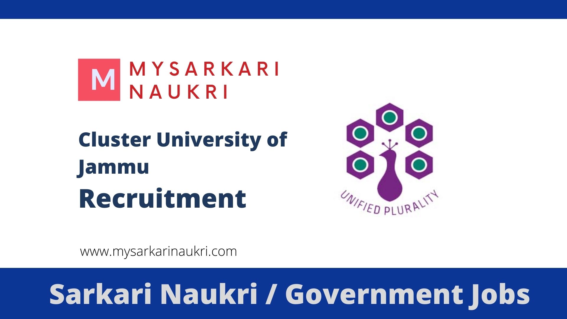 Cluster University of Jammu Recruitment 2024 clujammu.in Jobs